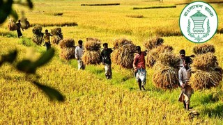 বড় হচ্ছে কৃষকের স্বপ্ন, সঞ্চয় ৫৬৯ কোটি টাকা