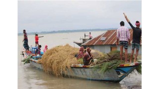 যেকোনো জেলায় ক্ষুদ্রঋণ সংগঠক নেবে আরডিআরএস