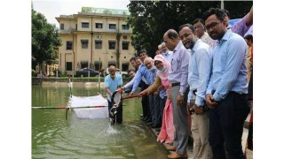 ‘দৈনিক ৬০ গ্রামের স্থলে আমরা ৬২ গ্রাম মাছ খেতে পারছি’