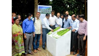 চুয়েটে পাঁচ তলা ছাত্রী হল, আন্তর্জাতিক ডরমেটরি হচ্ছে