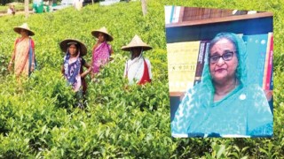 চা শ্রমিকদের সঙ্গে কথা বললেন প্রধানমন্ত্রী