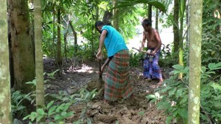 তিন বছর পর কবর থেকে কিশোরীর লাশ উত্তোলন