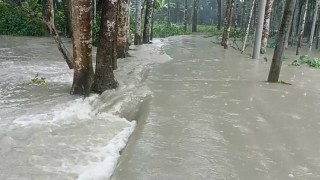 বিষখালী নদীর জোয়ারের পানিতে ২৭ গ্রাম প্লাবিত