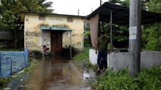 কুষ্টিয়ায় সাপের কামড়ে পুত্রবধূ ও শাশুড়ীর মৃত্যু