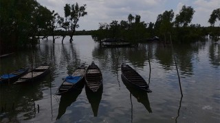 খুলল সুন্দরবনের দ্বার