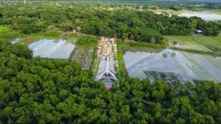 কাশফুলের শুভ্রতায় পালকি-দোলনার প্রেমে সুরঞ্জনা