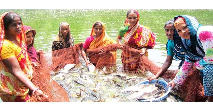 ব্রাঞ্চ ম্যানেজার, ফিল্ড হিসাবরক্ষক নেবে ডিএফইডি