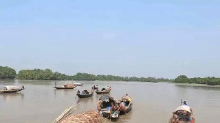 প্রশাসনের সহযোগিতায় সুন্দরবনের অভয়ারণ্যে মাছ শিকার!