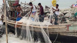 মধ্যরাতে শেষ হচ্ছে ইলিশ ধরার নিষেধাজ্ঞা, প্রস্তুত জেলেরা