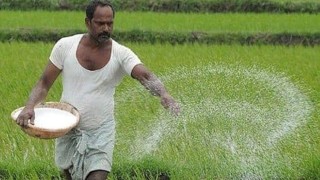 Govt raises fertiliser prices by Tk 5 per kg