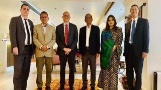 BNP delegation meets US ambassador