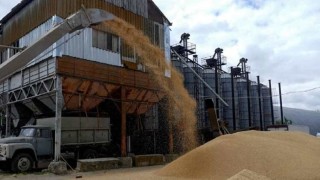 Poland, Hungary ban Ukraine grain to protect local farms