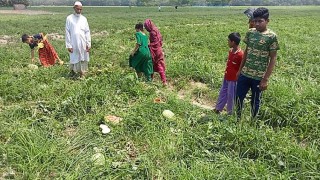 খেত লুটে বাঁধা দেওয়ায় তরমুজ চাষিকে কুপিয়ে জখম