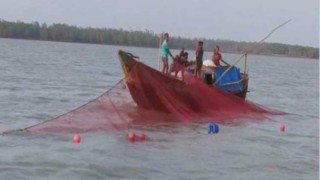 বেহুন্দি জালে ধরা হচ্ছে চিংড়ি, মারা পড়ছে মাছের পোনা