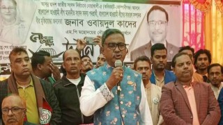 ভোটকেন্দ্রে না গেলে হাশরের দিন বিচার হবে : কাদের মির্জা