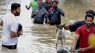 টানা বর্ষণে তামিলনাড়ুর দক্ষিণাঞ্চলে ১০ জনের মৃত্যু