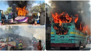 ৪২ দিনে ২৬৩ যানবাহনে আগুন, ক্ষতিগ্রস্ত ১৫ স্থাপনা: ফায়ার সার্ভিস