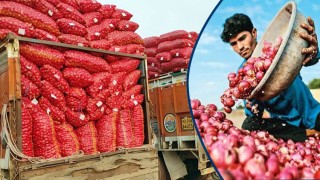 পেঁয়াজ রপ্তানি বন্ধ করে ‘বিপাকে’ ভারত, কৃষকদের প্রতিবাদ