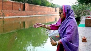 কৃষিপ্রেমী প্রধানমন্ত্রী, গণভবনে গড়েছেন পূর্ণাঙ্গ খামার