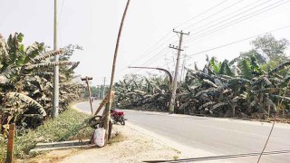 টাঙ্গাইলে রেলক্রসিংয়ে লোহার ব্যারিয়ারের বদলে বাঁশ