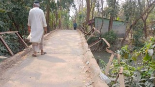 বাউফলে সংস্কারের অভাবে গুরুত্বপূর্ণ সেতুর বেহাল দশা