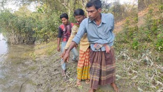 সুন্দরবনসংলগ্ন এগারো গ্রামের মানুষ বাঘ আতঙ্কে