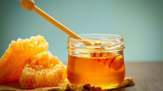 Honey over Tk 5.77 crore collected in Manikganj