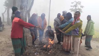 ৭.৩ ডিগ্রীতে কাঁপছে কুড়িগ্রাম, জনজীবন বিপর্যস্ত