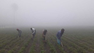 ৮.৪ ডিগ্রি তাপমাত্রায় কাঁপছে কুড়িগ্রাম