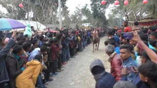 নড়াইলে ঐতিহ্যবাহী ঘোড়দৌড় প্রতিযোগিতা অনুষ্ঠিত