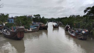 ট্রলারে সুন্দরবন মাছ শিকারে গিয়ে দুই ভাই নিখোঁজ