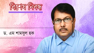 বিড়ম্বনা ও বৈষম্য নিরসনের মাইলফলক হতে পারে মেট্রোরেল