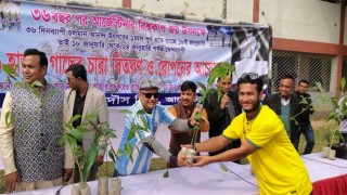 আর্জেন্টিনার বিশ্বকাপ জয়ে ৩৬ হাজার গাছের চারা বিতরণ