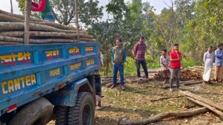 কক্সবাজারে বিপুল পরিমাণ চোরাই কাঠ জব্দ