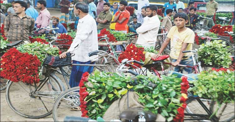 ৩০ কোটি টাকার ফুল বিক্রির টার্গেট যশোরের ফুল চাষিদের