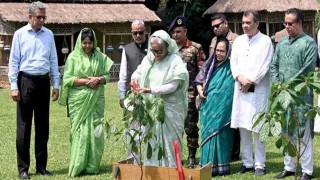 জলবায়ু পরিবর্তনের প্রভাব থেকে বাঁচতে গাছ লাগান: প্রধানমন্ত্রী