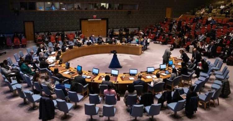 Women first to suffer, last to be heard: UN Security Council hears