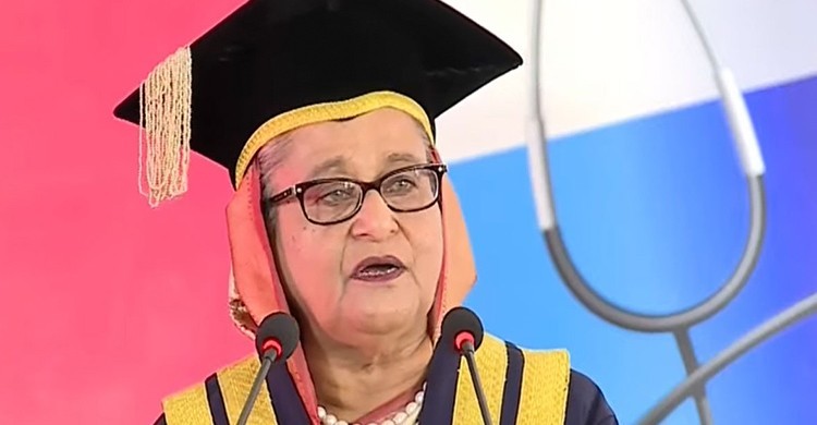 Engage in nursing education, service largely: PM