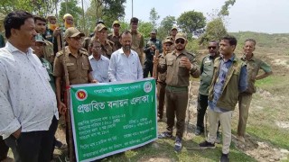 হাতির অভয়াশ্রমে অভিযান, ২৫ একর বনভূমি দখলমুক্ত