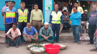 বরিশালে মাছ শিকার নিষেধাজ্ঞার প্রথম দিনেই ৩ জনকে জরিমানা