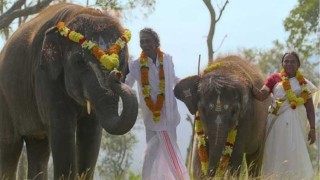 ইতিহাসের প্রথম ভারতীয় প্রামাণ্যচিত্রের অস্কার জয়