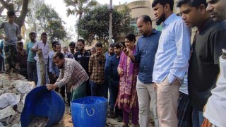 ভেজাল মিষ্টি-সেমাই উৎপাদন ও বিক্রির অপরাধে জরিমানা