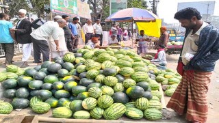 রংপুরে নিম্ন আয়ের মানুষের নাগালের বাইরে তরমুজ