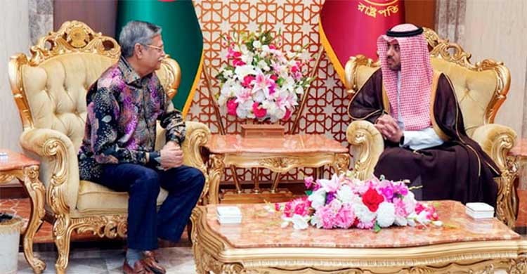 Saudi envoy calls on President