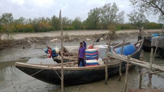 সুন্দরবনের অভয়ারণ্যে মাছ শিকার, ১০ জেলে আটক