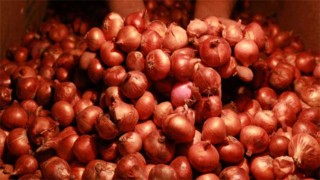 Decision on onion import in 2-3 days: Agri Minister