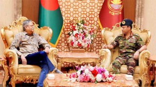 Army chief calls on President at Bangabhaban