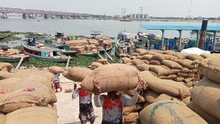 ভৈরবে সপ্তাহের ব্যবধানে বাড়ল ধানের দাম, স্বস্তিতে কৃষকরা