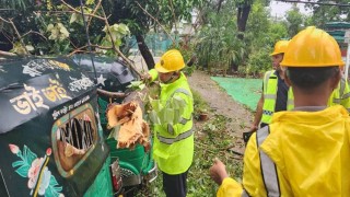 কক্সবাজারে বিধ্বস্ত ২ হাজার ঘরবাড়ি, ক্ষতিগ্রস্ত ১০ হাজার