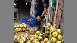 মাগুরায় বাড়ছে তালের শাঁসের কদর